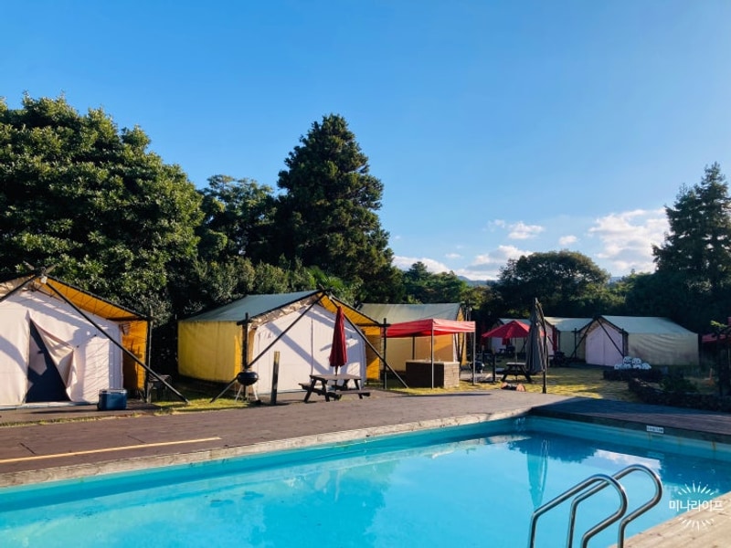 내돈후기 _ 아이들과 함께 에코힐글램핑 솔직후기