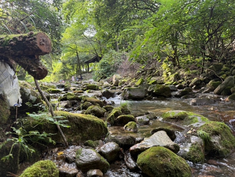 원주 행복빌리지 캠핑장 솔직후기