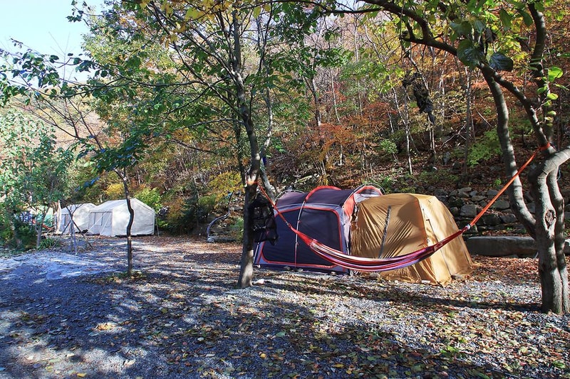 월계수 캠핑장 시설 사진 3