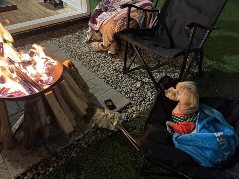 취뽀 성공기념 다녀온 세상 깔끔항 가평 다온캠핑장 우리가...