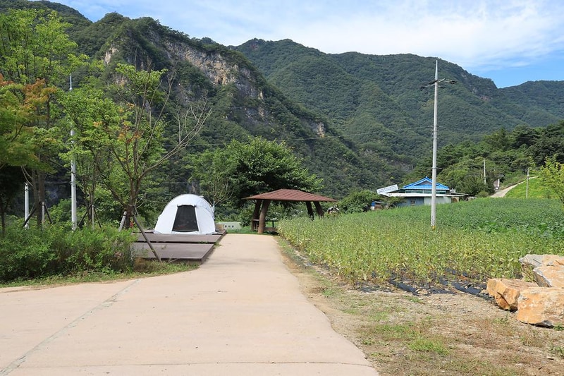 연포분교야영장 시설 사진 14