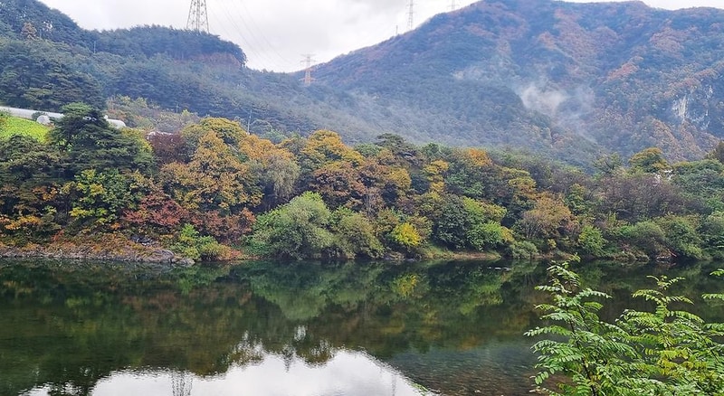 가네골농원 시설 사진 17