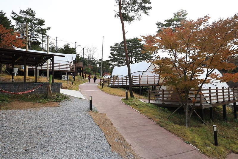 숲속야영장 시설 사진 15