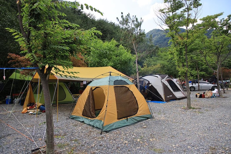 백년펜션 야영장 시설 사진 15