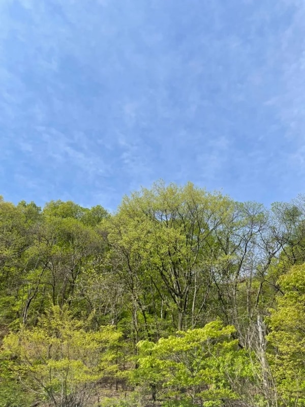 안성 반딧불캠핑장 방문 후기(고스트팬텀  첫 피칭!)