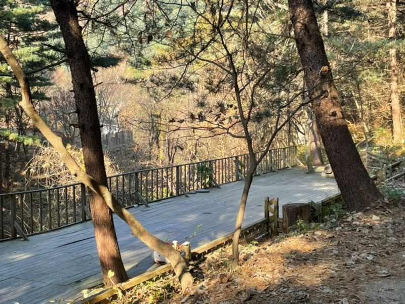 인기많은 포천캠핑장 "엉클킴스캠핑장" 두가족존 밸리큰데크...