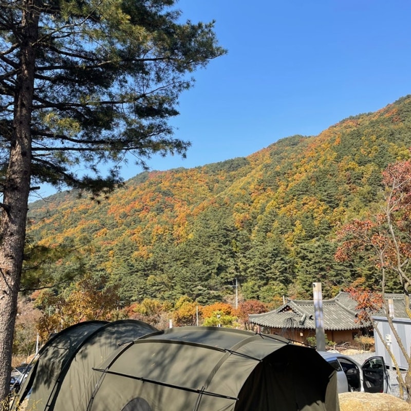 <14> 단양 캠핑ㅣ우니메이카 단양ㅣ소규모 캠핑장ㅣ2인 캠핑