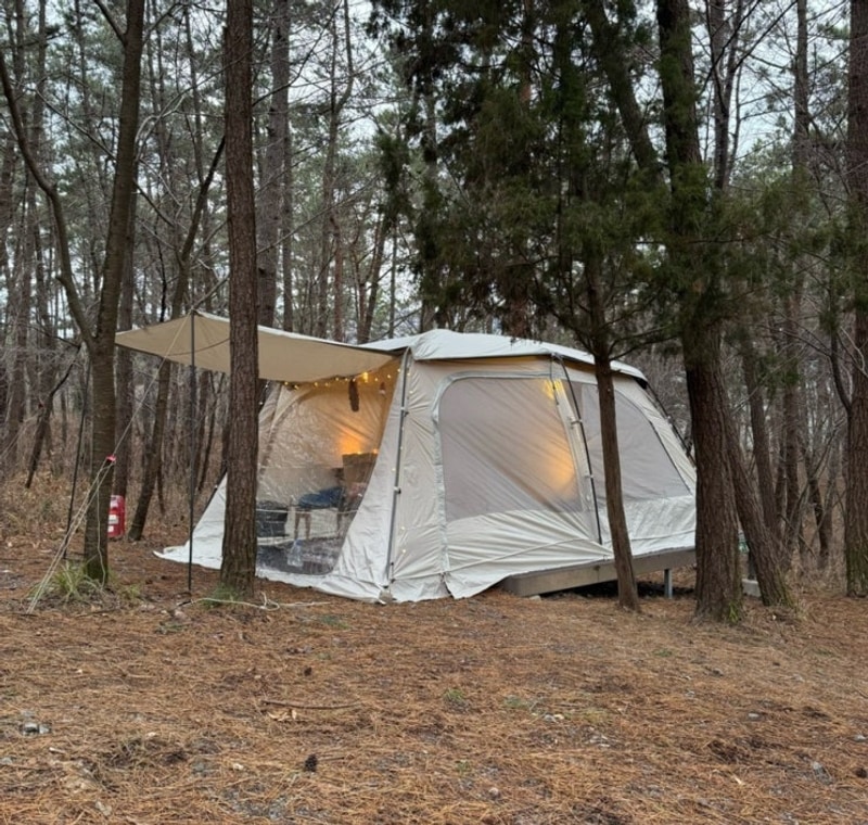 충청도 캠핑장 추천(조용한 숲속)‘우니메이카 태안점’5번...