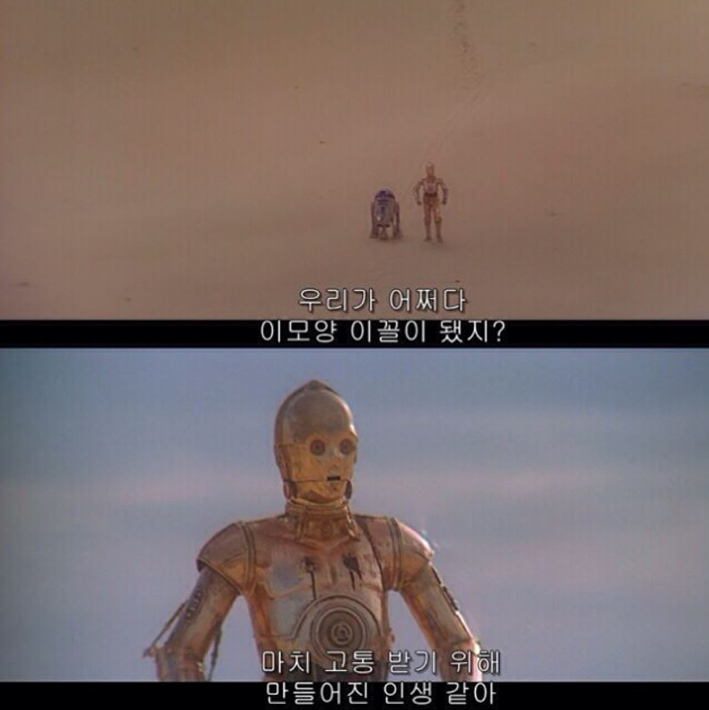 칠곡 낙화담 캠핑장 + 생일 캠핑