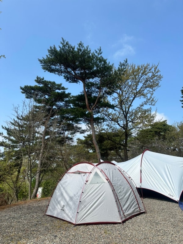 [당진캠핑장] 아잘리아그린 : 깔끔하고 사이트큰 탬핑장...