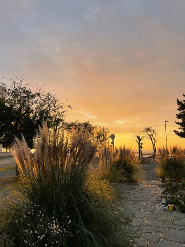 충남 태안 청포대 해수욕장 뷰 “꿈꾸는바다 캠핑장”