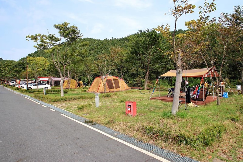 인삼골오토캠핑장 시설 사진 6