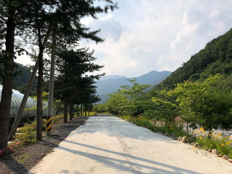 오색허브농원 캠핑장 시설 사진 26