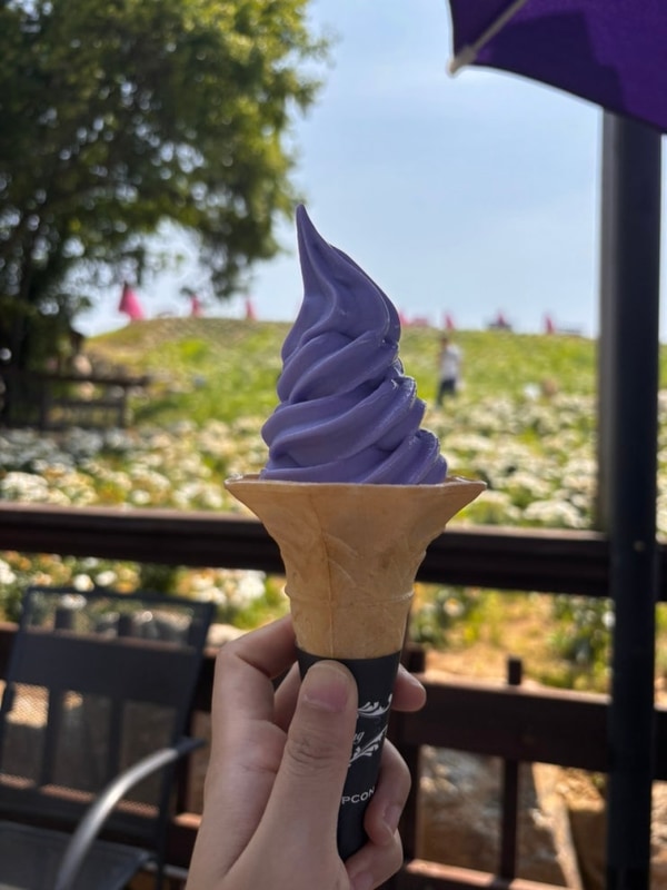 초보캠퍼의 두번째 캠핑, 포천 산정호수 돌고래캠핑장 소나무존7