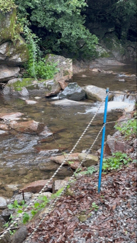 충북 제천 라온밸리 캠핑장 타프존 후기