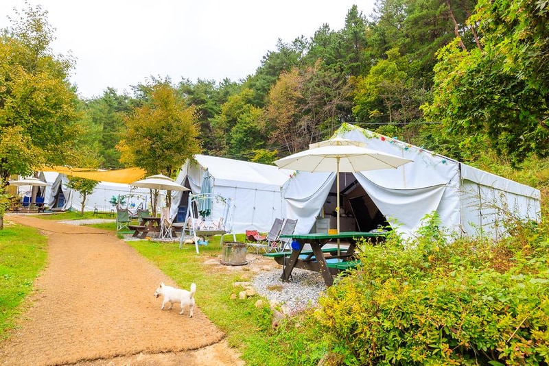 수피아글램핑펜션 시설 사진 14