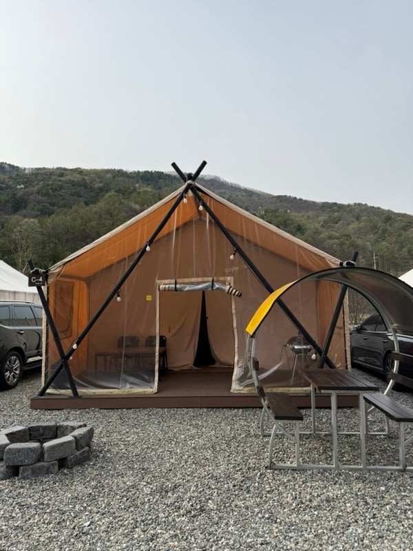 가평 자작나무 글램핑 & 캠핑