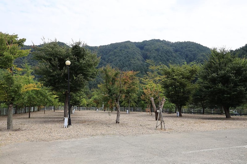 블루래빗 시설 사진 2