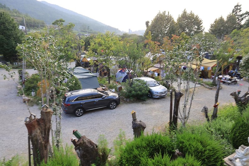 버드하우스 캠핑장 시설 사진 8