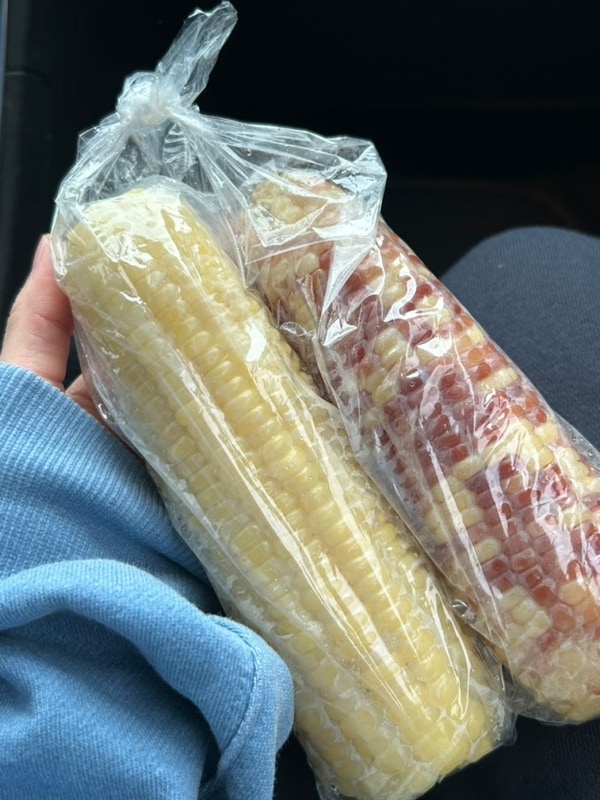 춘천 우니메이카 캠핑장