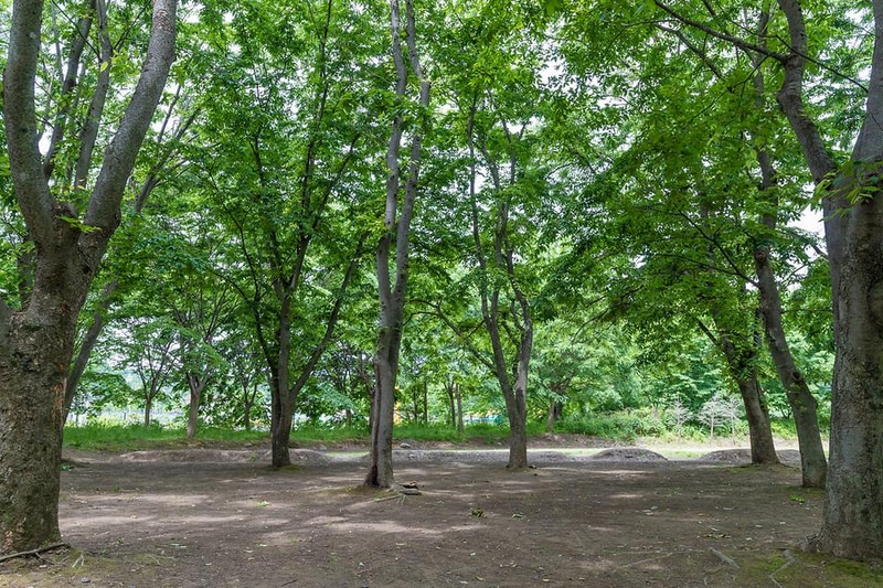 금관숲캠핑장 시설 사진 9