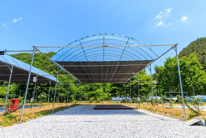 진악산오토캠핑장 시설 사진 18