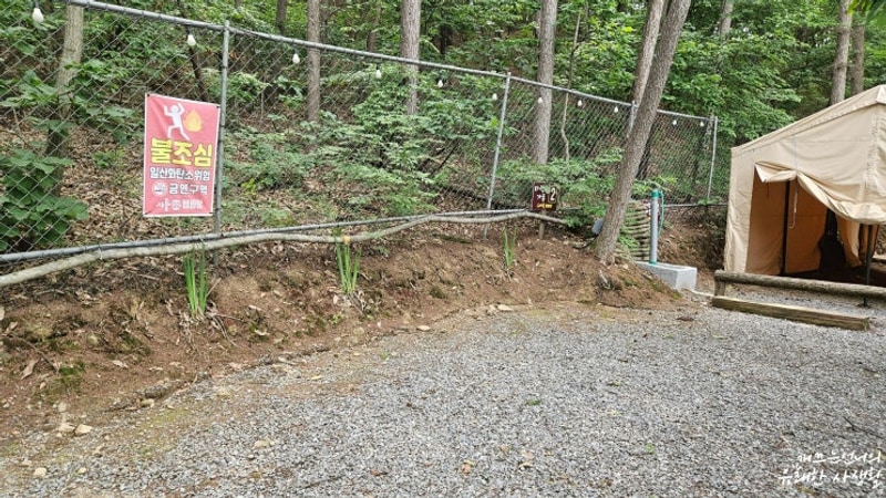 포천 지투캠핑장 다람쥐가족 2번사이트