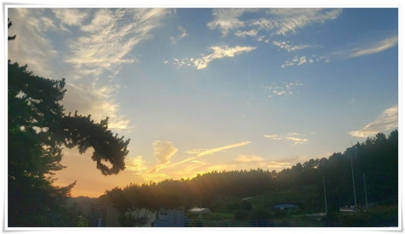 태안캠핑장 올레유에서 여름 끝자락 가족과 즐거운 하루 보냈어요