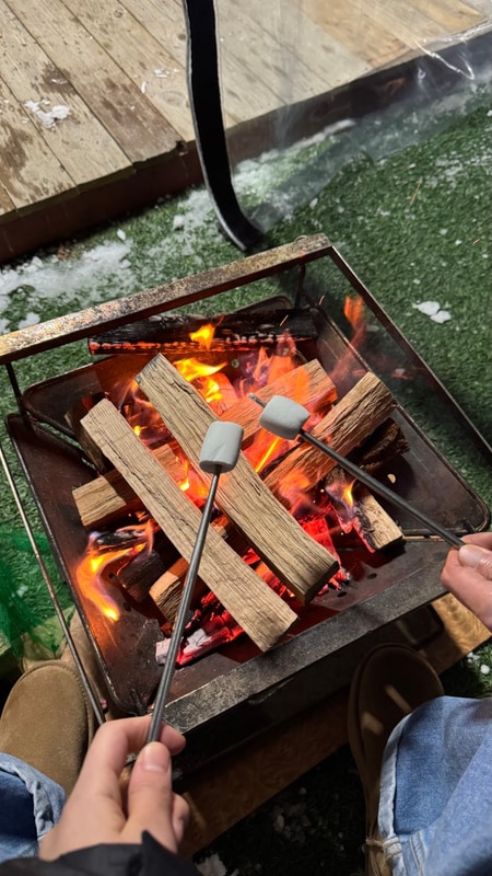 애견동반 가능한 [가평다온캠핑장] 다녀온 솔직후기 | 글램핑...