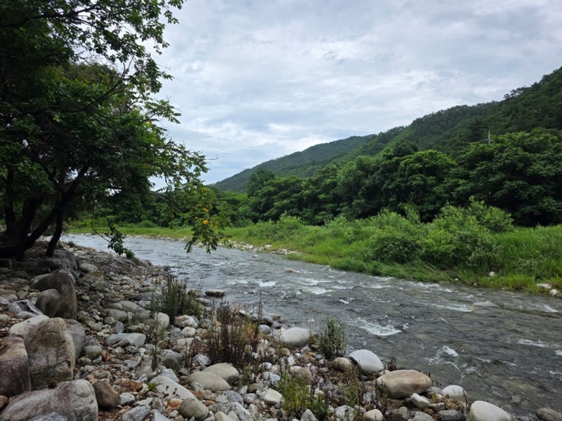 애견동반 계곡 캠핑장 추천 강원도 양양 골짜구니 캠핑장 A13...
