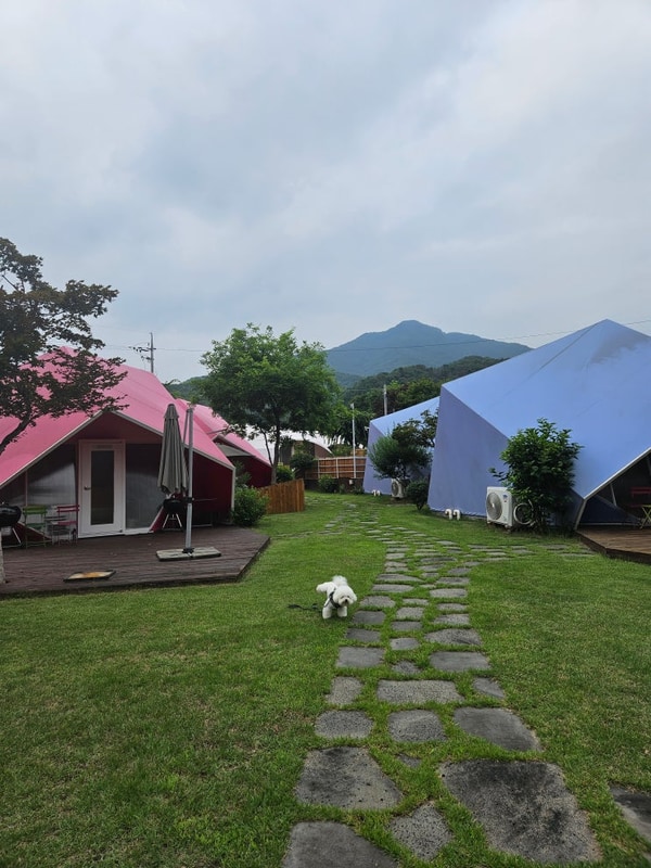 애견동반 글램핑-홍천 바누글램핑