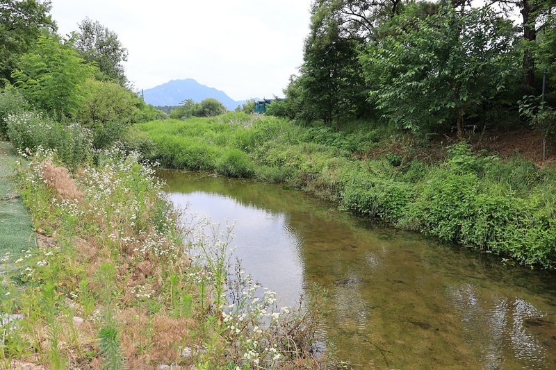 포천롯지카라반캠핑장 시설 사진 1