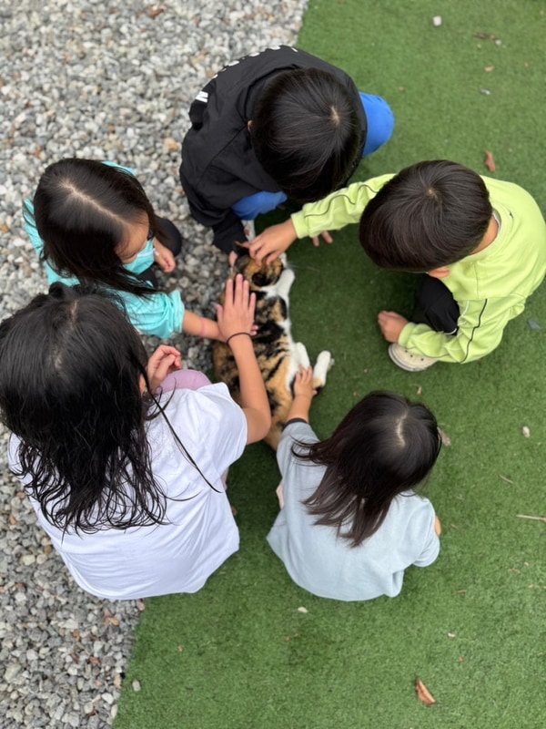 트레버스 차박캠핑 2박3일 @ 한울오토캠핑장 in 원주