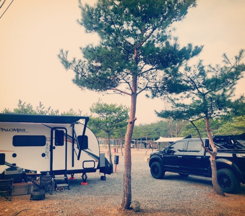 (카라반 이제 안됨, 반려견 0) 연천 삼화리동광캠핑장 25. 4. 11