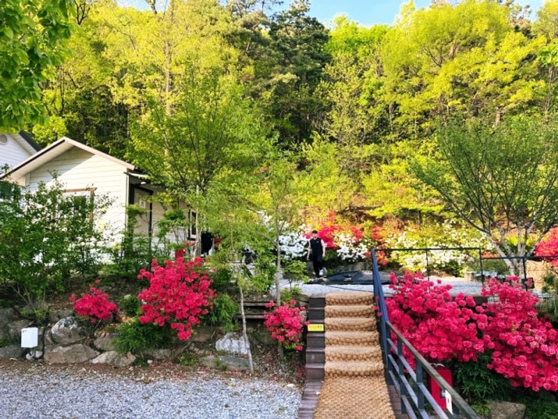 용인 자연숲 캠핑장 방갈로 후기