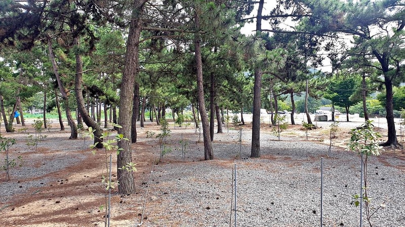 어은돌야영장 시설 사진 14