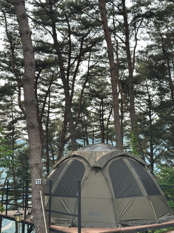 [캠핑/영월] 영월 구름품은캠핑장 명당 12번 명당 자리 추천...