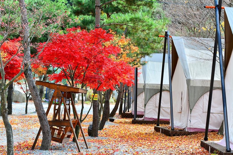 리즈밸리 시설 사진 14