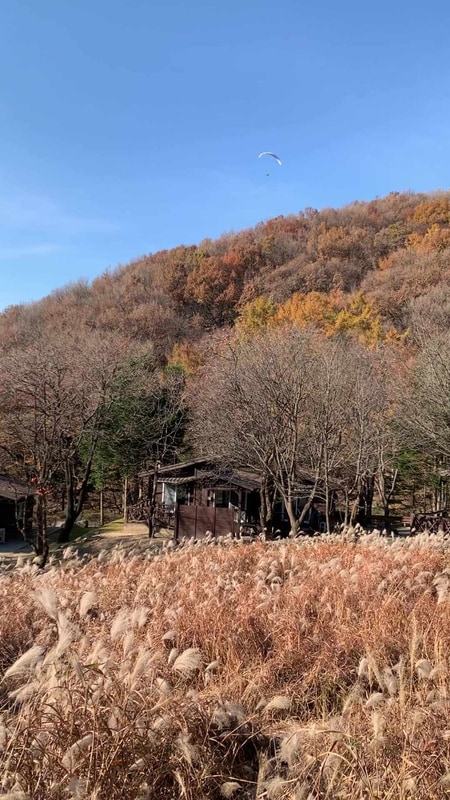 용인자연휴양림. 서울 근교 단풍 캠핑장, 야영지, 패러글라이딩...
