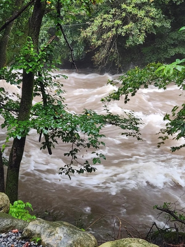 #43[가평]자우림캠핑장(& 이천1박)