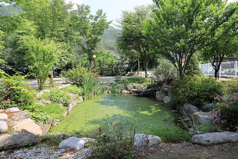 외룡송어회 캠핑장 시설 사진 9