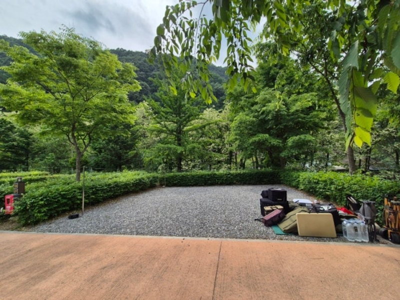 반려견 동반캠핑 단양천동오토캠핑장 C25사이트