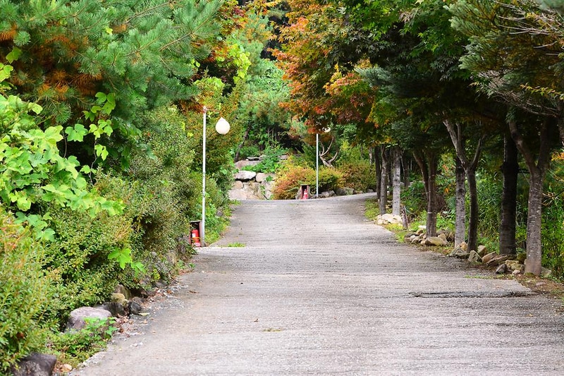 브라보캠핑장 시설 사진 7