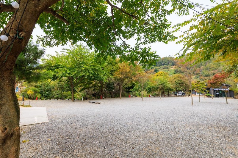 타닥타닥캠핑장 시설 사진 18