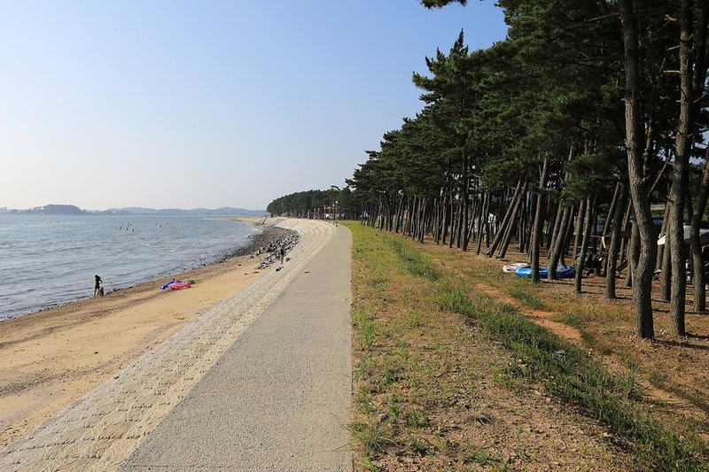 백사장사계절 숲속야영장 시설 사진 8