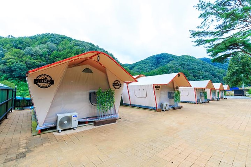 오로라 대표 사진