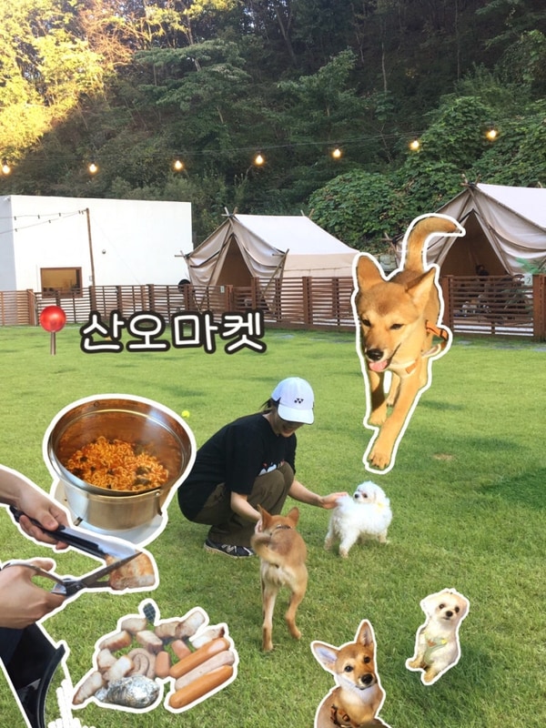 [산오마켓] 애견동반 글램핑 식당ㅣ서울에서도 가깝고 오프리쉬...