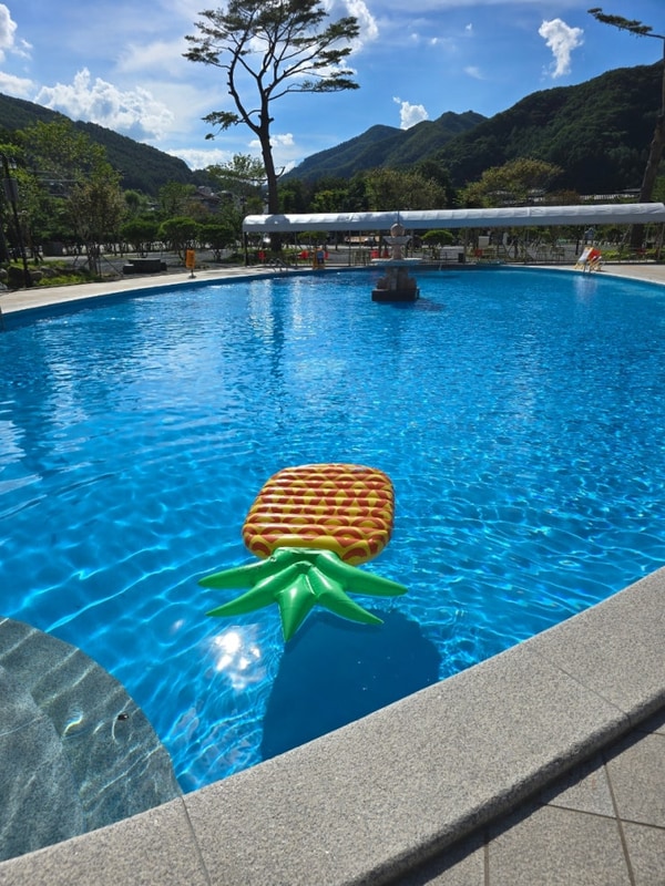 올해 여름은 구산, 망상 그리고 태백눈꽃야영장(20250817~22)