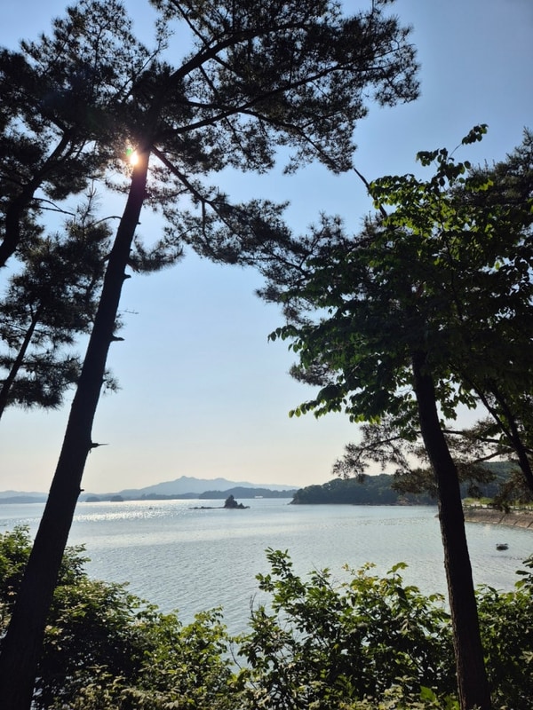 충남 태안 청산리오토캠핑장 - 타프9번, 데크5번 (명당 추천)