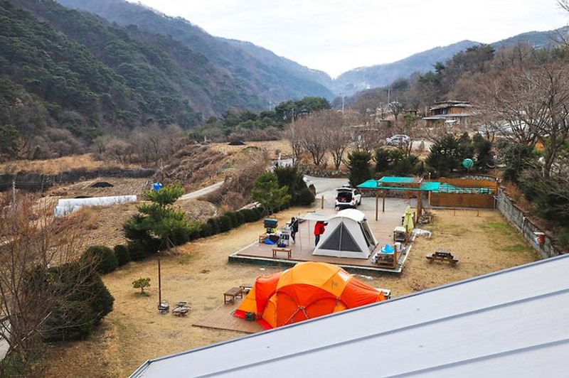 벳소캠프 대표 사진